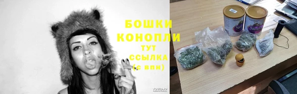 амф Аркадак