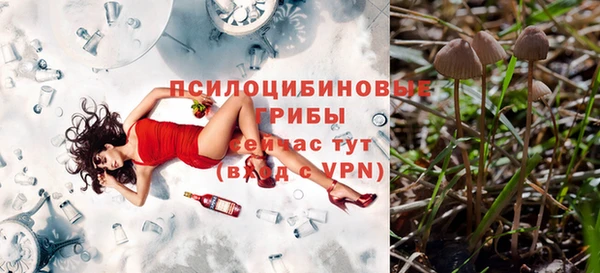 прущие крисы Арсеньев