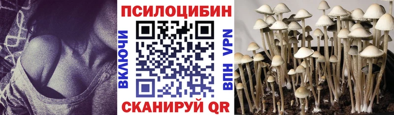 Псилоцибиновые грибы GOLDEN TEACHER  дарк нет как зайти  Обоянь 
